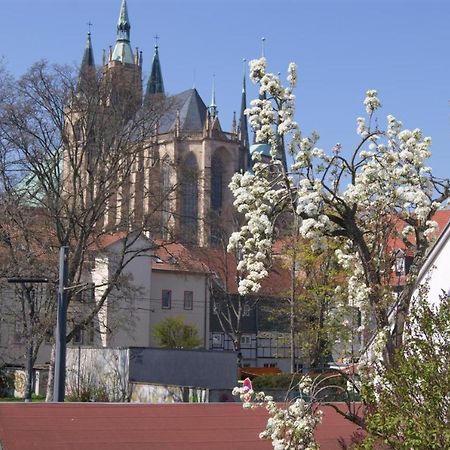 Hotelpension Am Dom Erfurt Zewnętrze zdjęcie