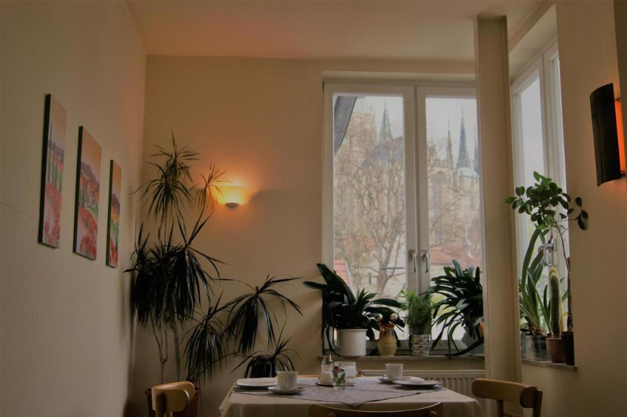 Hotelpension Am Dom Erfurt Zewnętrze zdjęcie