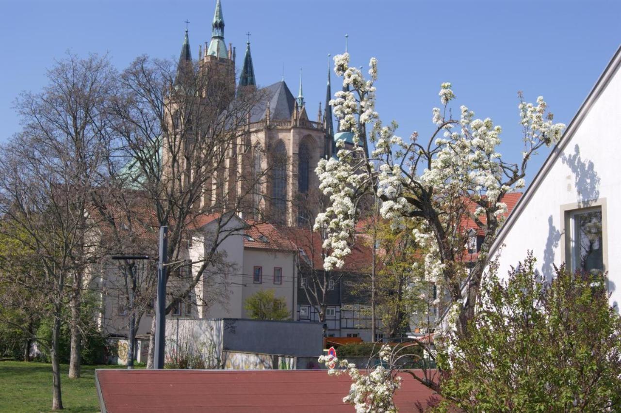 Hotelpension Am Dom Erfurt Zewnętrze zdjęcie